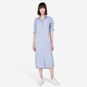 Everlane blue striped cotton poplin shirt dress